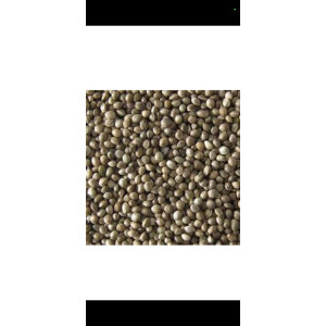 Καναβούρι Χύμα 500 g